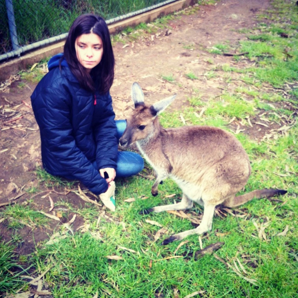photo[2]